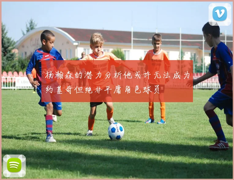 杨瀚森的潜力分析他或许无法成为约基奇但绝非平庸角色球员