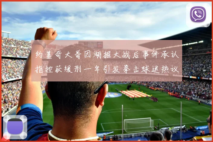 约基奇大哥因湖掘大战后事件承认指控获缓刑一年引发拳击球迷热议